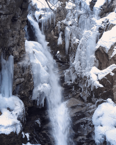 Screen Shot 2017-11-09 at 2.24.07 PM